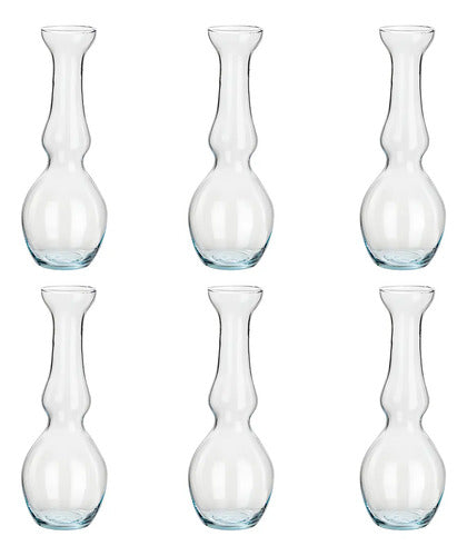 Set 6 Piezas Florero Violetero Ovni De Vidrio 266 Ml