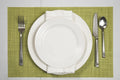 Mantel Individual tapete Rectangular Mesa Comedor Textiline, tapetes Lavables Resistentes Fácil de Limpiar para Mesa Cocina Comedor Restaurante (18, Verde)