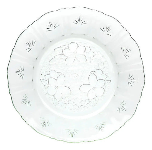 Caja 24 Piezas Plato Hondo De Vidrio Maguey Crist. 610 ml